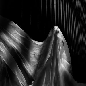 Black and white photo of the back of bride with wedding veil blowing to the left with bright light streaming through.